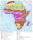 Почвы. Африка